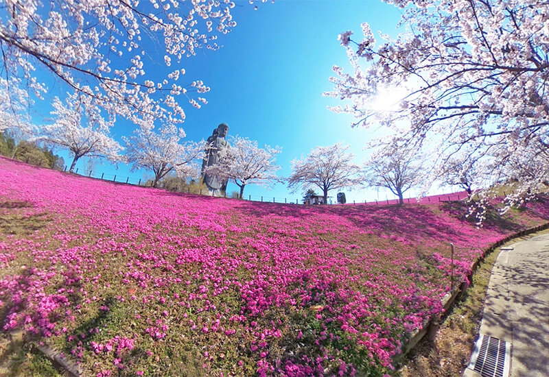 牛久浄苑 大仏庭園にて