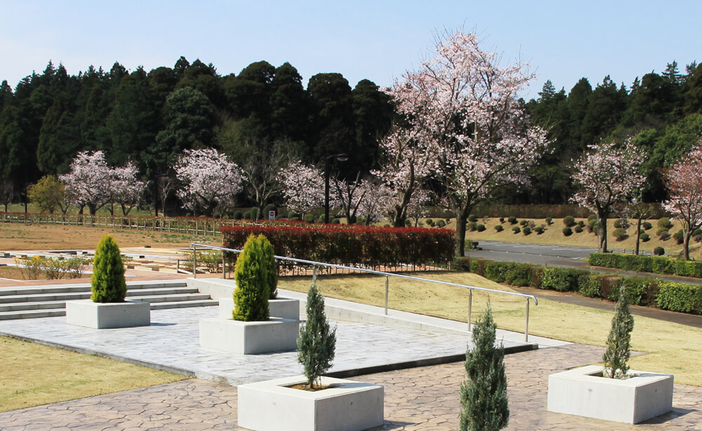 牛久大仏「永久会員」