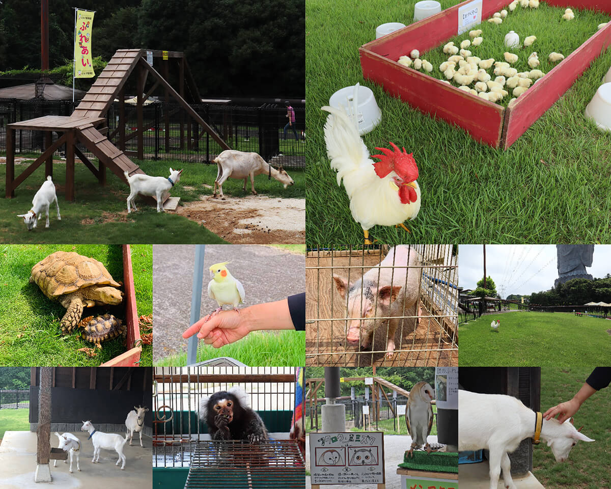 ふれあい動物園（イベント）