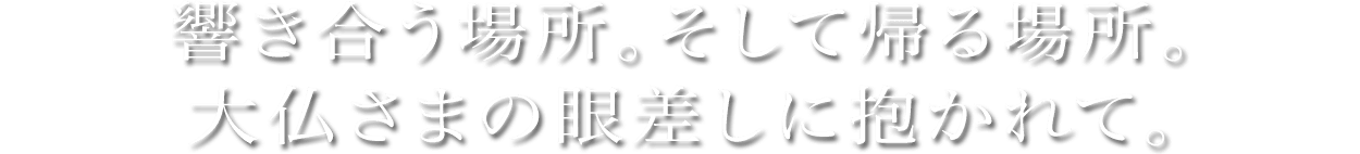 響き合う場所。そして帰る場所。大仏さまの眼差しに抱かれて。